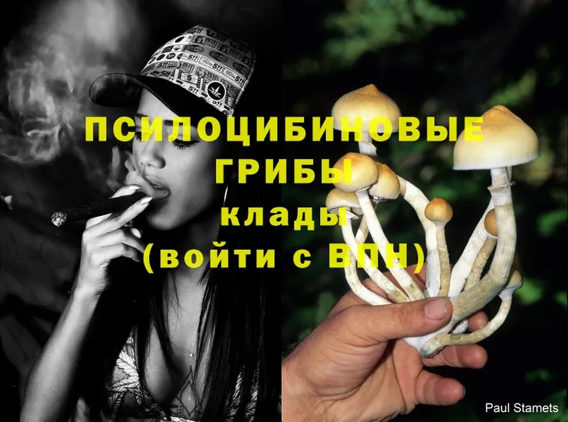 Псилоцибиновые грибы Psilocybine cubensis  Солигалич 